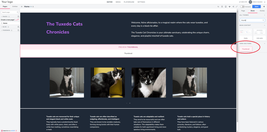 Create Custom Content Bricks for React Bricks